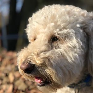 Meet your Posher, Macie